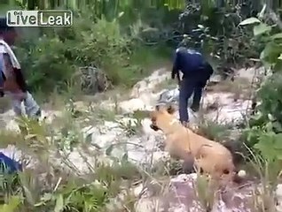 Rasporio je veliku zmiju a unutra iznenađenje