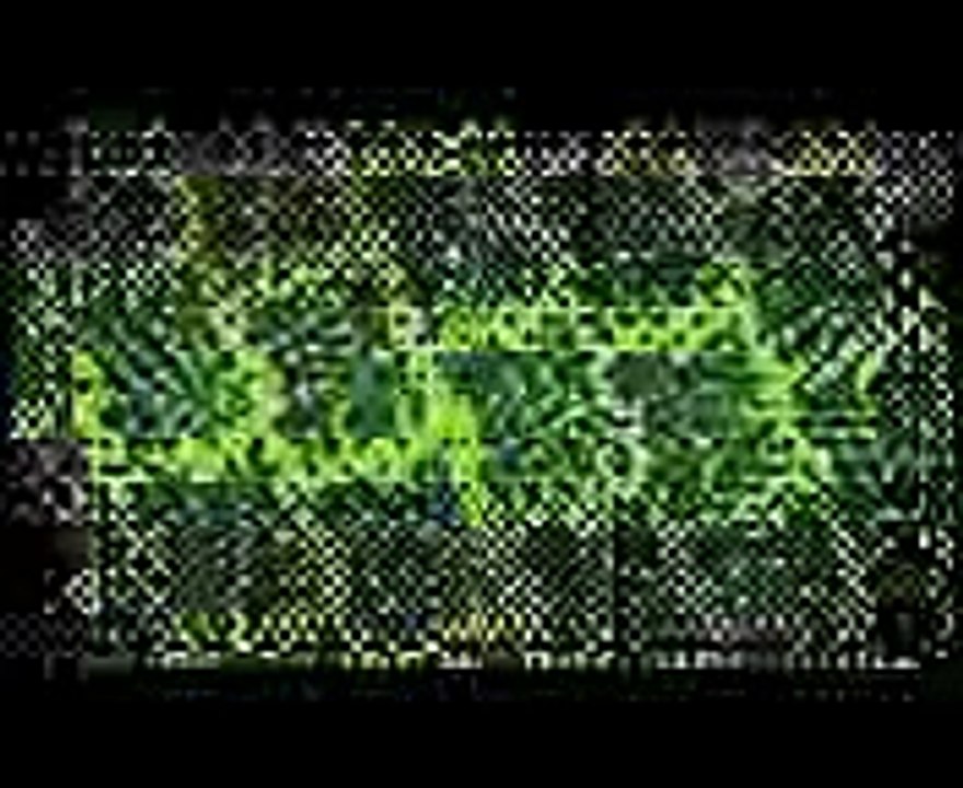 Teen Titans Go! Op Os Jovens Titans em Ação   Cartoon Network   Opening