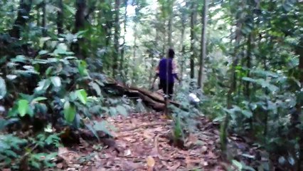 Kanneliya Forest Reserve, Sri Lanka