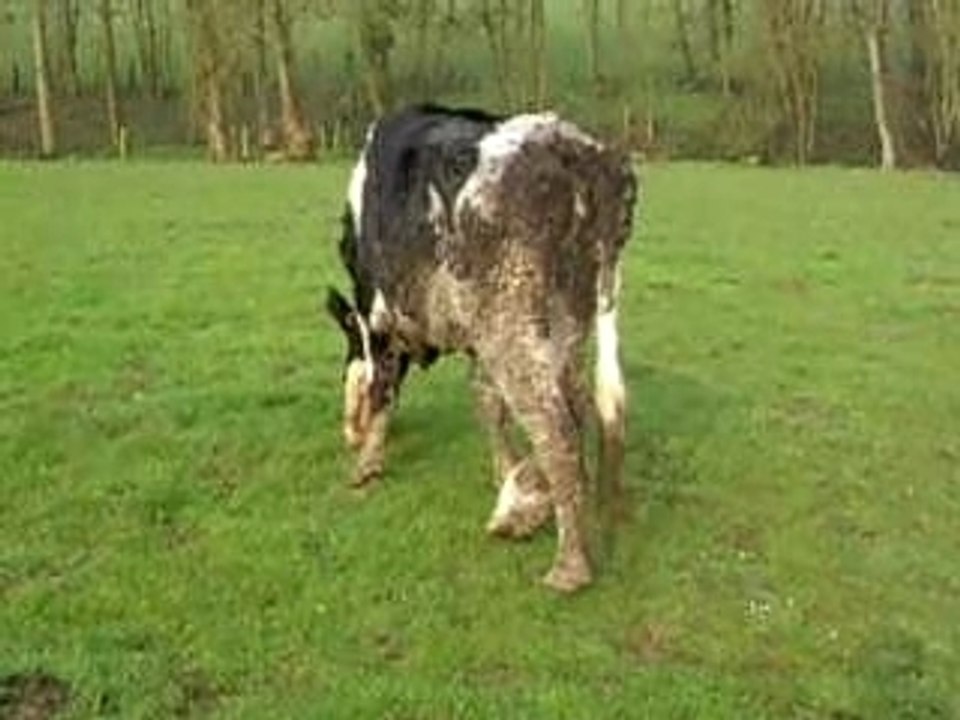 Ferme 024