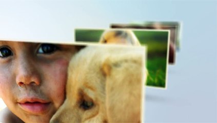 After Effects Project Files - Multi Image Slideshow - VideoHive 8892485