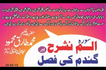 Surah Alam Nashrah aur Gandam Ki Fasal - Hakeem Tariq Mehmood