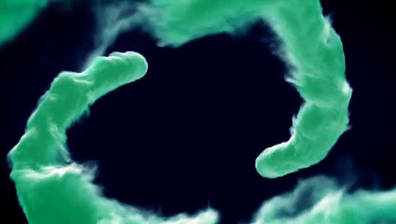 After Effects Project Files - Colorful Smoke Reveal - VideoHive 8918826