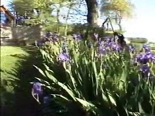 French Country Travel Life Tipster