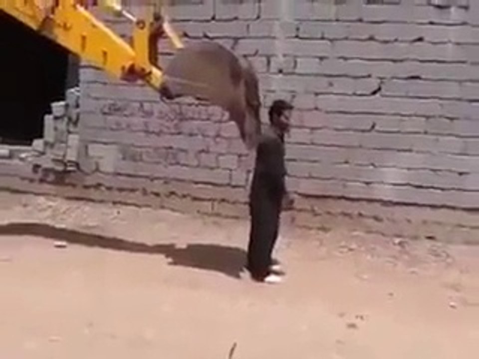 Funny Clips