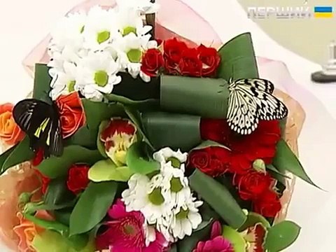 Живые бабочки в Киеве, 'Кто в доме хозяин', УТ1, 8.03.2015