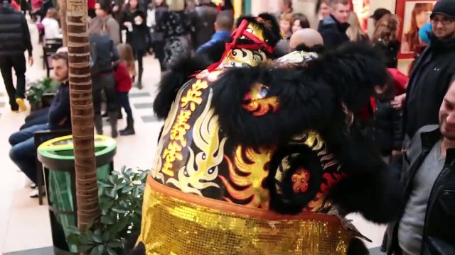 Nouvel An Chinois 2013