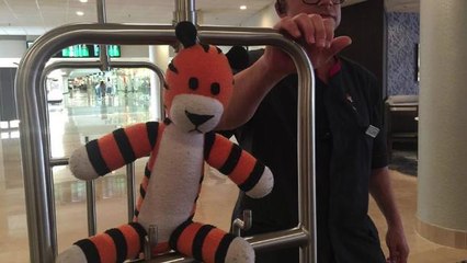 Airport workers chronicle adventures of boy's lost stuffed tiger