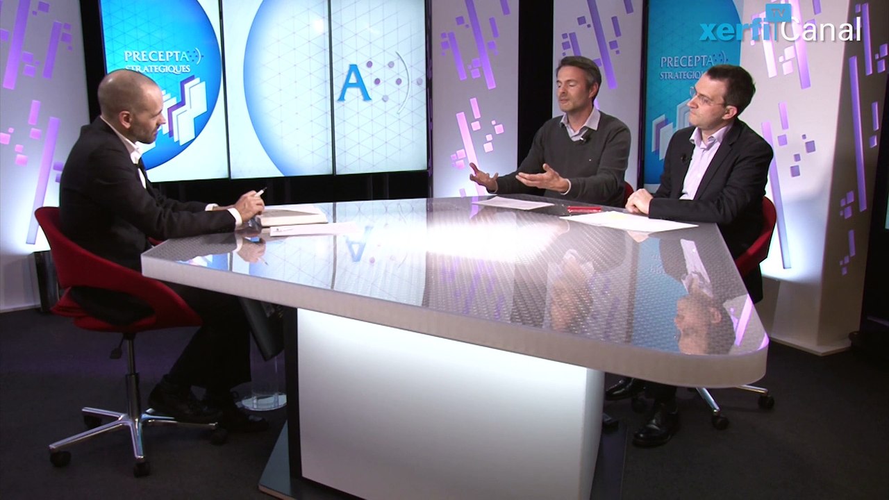 Denis Chabault et Bertrand Sergot, Xerfi Canal Espace, territoire et stratégie