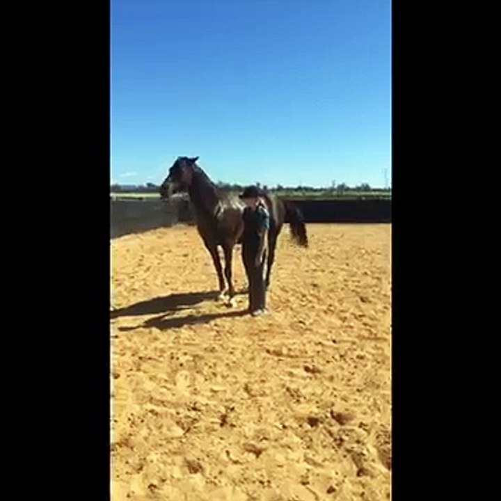 Horse doing the CHA CHA SLIDE!!