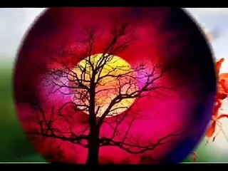 REMINISCING, The Little River Band