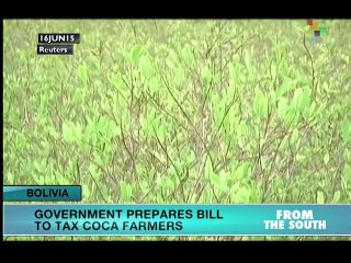 Bolivia to Tax Coca Producers