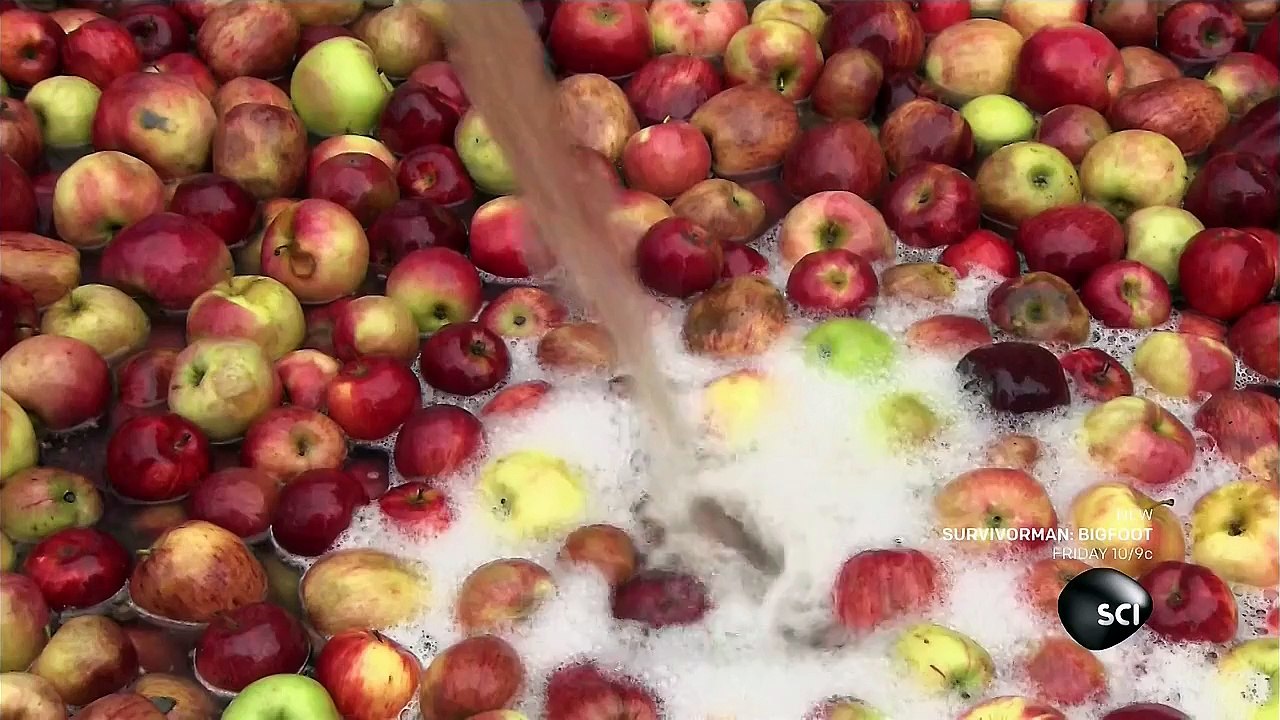 How Its Made - Apple Cider