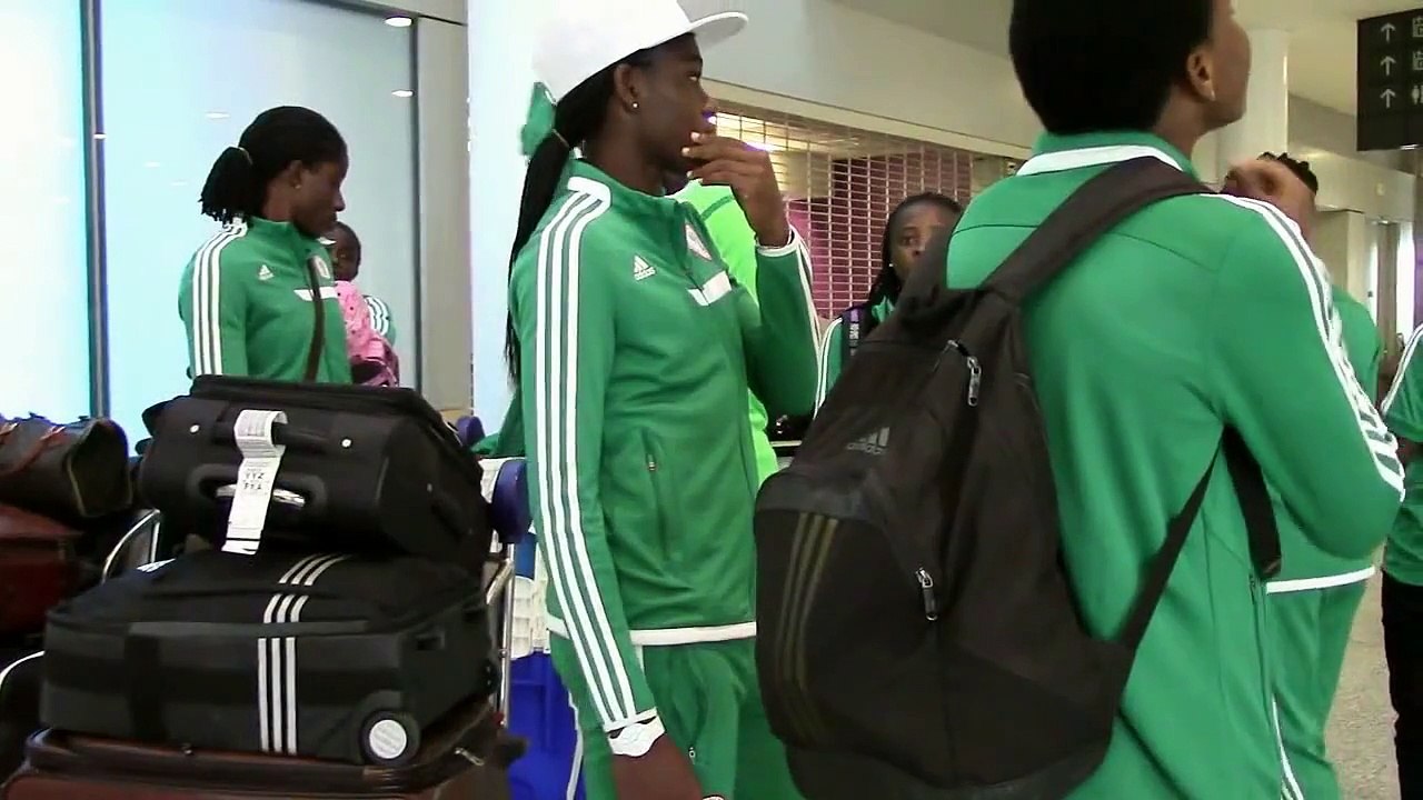 NIGERIAN FALCONETS IN CANADA