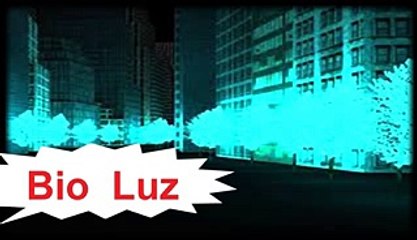 Bio Luz, arboles bioluminiscentes, luz gratis, saber, conocer, mitos, Misterios, Enigmas, Español, latino