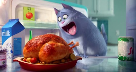 The Secret Life of Pets Official Trailer