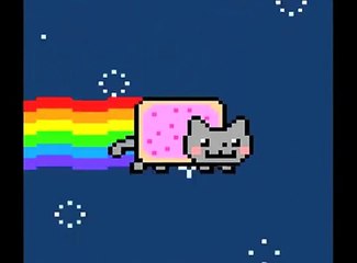 Nyan Cat Doing Cat Stuff