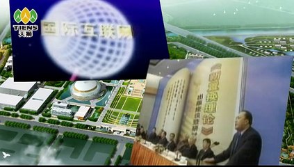 Background Of Tiens International Company