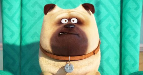 Comme des Bêtes - Bande Annonce #1 [VOST|HD]