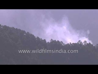 Smoke raising up from the forest - Landour, Uttarakhand