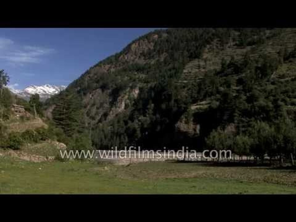 Stream flows en route Lamkhaga pass - Himachal Pradesh