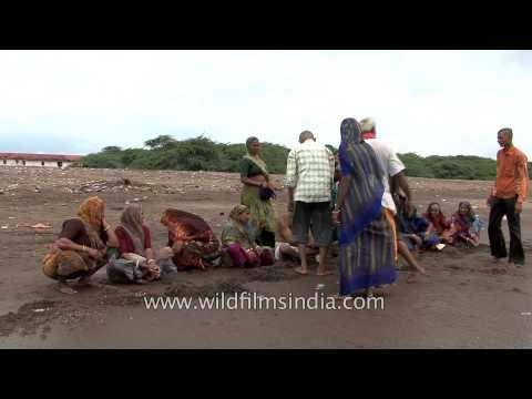 Devotees offer prayer and perform rituals at a beach in Alang, Gujarat