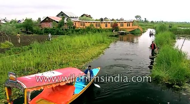 Floating market in Dal lake: Srinagar, Jammu and Kashmir