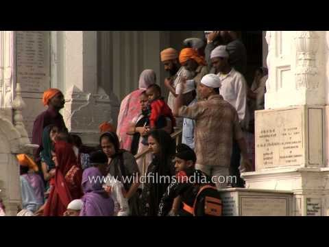 Indian Sikh pilgrims bathe in the holy sarovar at the Golden Temple, Punjab