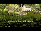 Fountains at the Samode Palace - Rajasthan