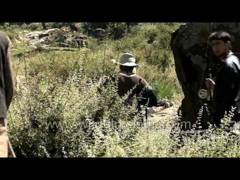 Indian angling team reach Pahalgam for trout - Kashmir