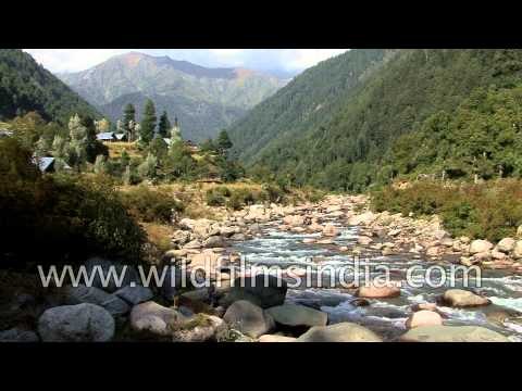 Pahalgam stream - Jammu and Kashmir