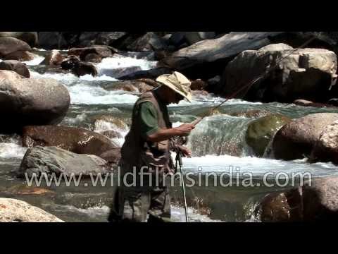 Fishing in Pahalgam stream: Kashmir