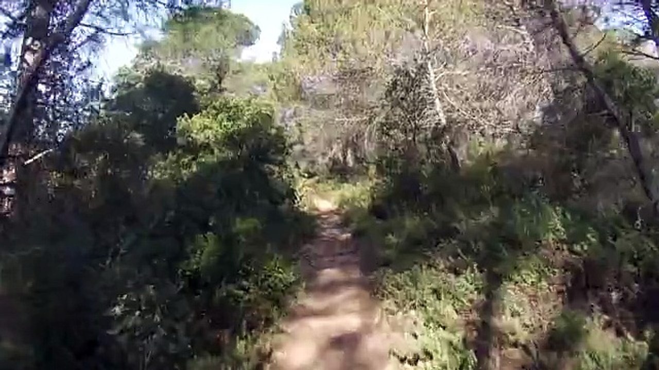 SORTIE VTT 17 JUIN 2015.