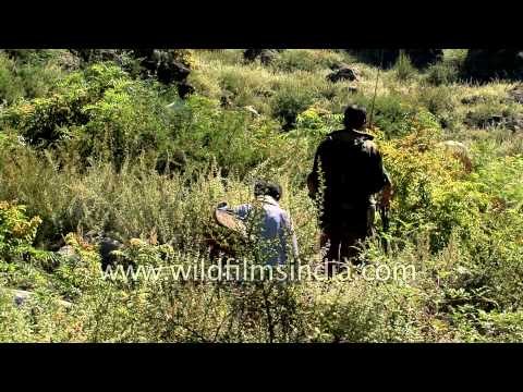 Indian angler with his team search for best fishing spots - Kashmir