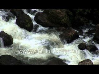 Waterfall in Kerala hills - India