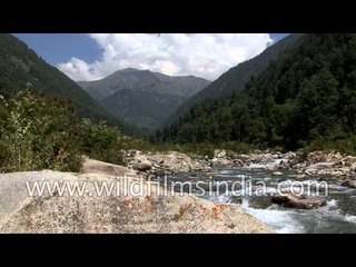 Kashmir offers great scope for sport fisheries