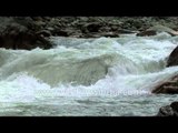 Pahalgam stream: Best known for trout fishing