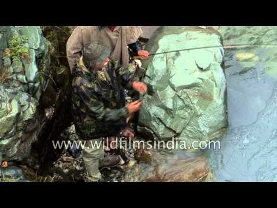 Angling for trout in Kashmir