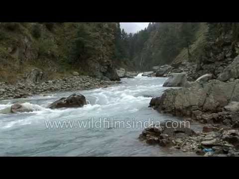 Pahalgam stream has fast rapids - perfect for trout!