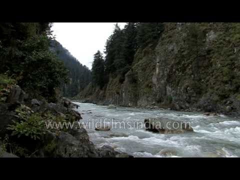Fishing in Kashmir - Anglers paradise