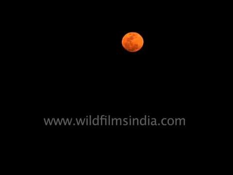 Beautiful moonrise in Rann of Kutch, Gujarat