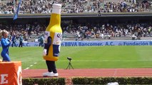 Edecanes Corona (HD)