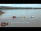 Swan shaped pedal boats at Sukhna Lake, Chandigarh