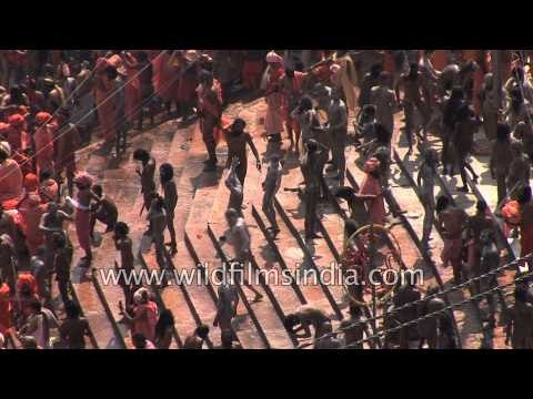 Naga Sadhus reach Haridwar for the Kumbh Mela