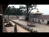 View of Pashupatinath Temple - Kathmandu, Nepal