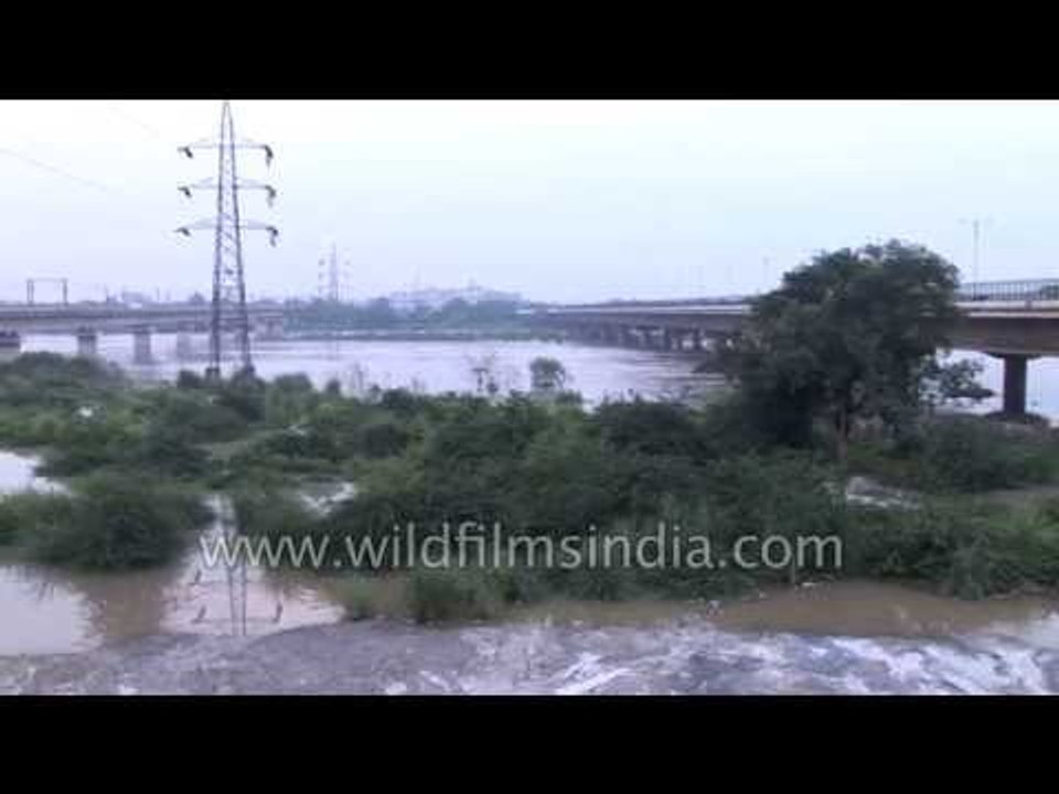 Delhi's Yamuna River floods over and breaches its banks