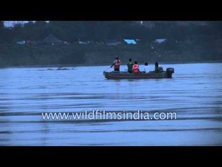 Rescuing an Antelope from flooded Yamuna river