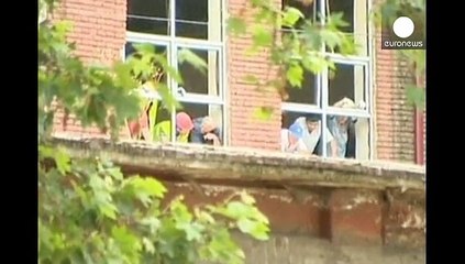 Selden kaçan kaplan bir işçiyi öldürdü