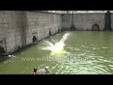 Boys Jump Into Step-Well - Slow Motion Footage - Nizamuddin Baoli | India