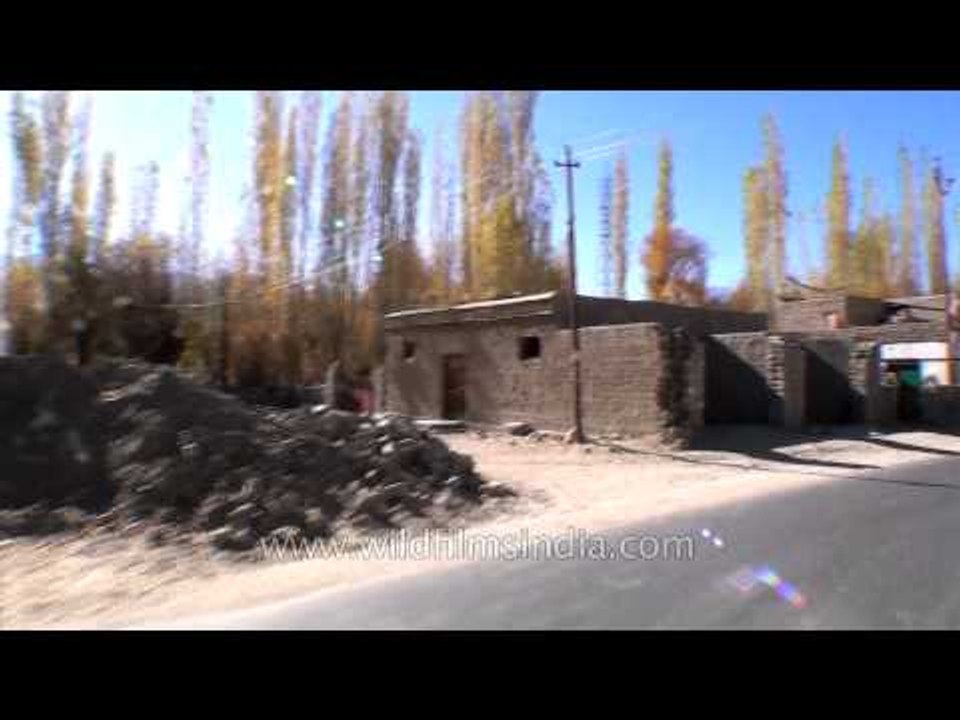Driving down from Thiksey monastery to main Leh Shey road - Ladakh